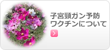 埼玉県上尾市のひらしま産婦人科、子宮頸がんワクチンについて
