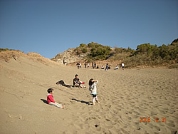 ����@�Ђ炵�܎Y�w�l��