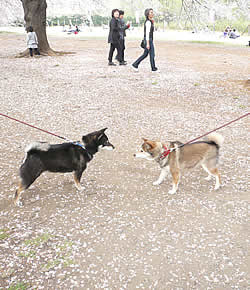 �Ђ炵�܎Y�w�l��