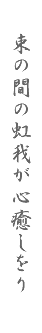 束の間の虹我が心癒しをり