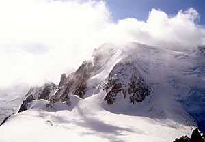 ��ʌ�����s�@�Ђ炵�܎Y�w�l��