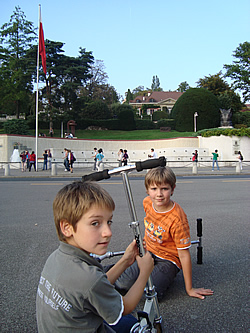 ��ʌ�����s�@�Ђ炵�܎Y�w�l��