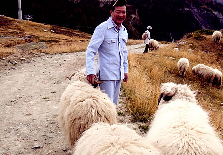 ��ʌ�����s�@�Ђ炵�܎Y�w�l��