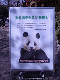 上尾,産婦人科