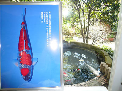 上尾,産婦人科