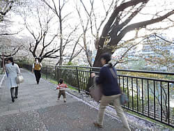 ひらしま産婦人科、フォトダイアリー写真