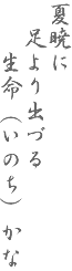 ひらしま産婦人科
