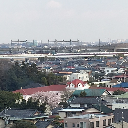 ヒラシマドームと桜と新幹線